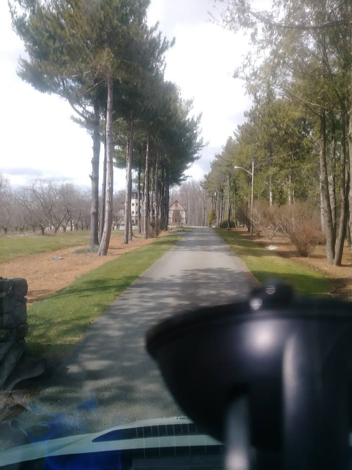 services-03 leboeuf-lawn-care-gallery2