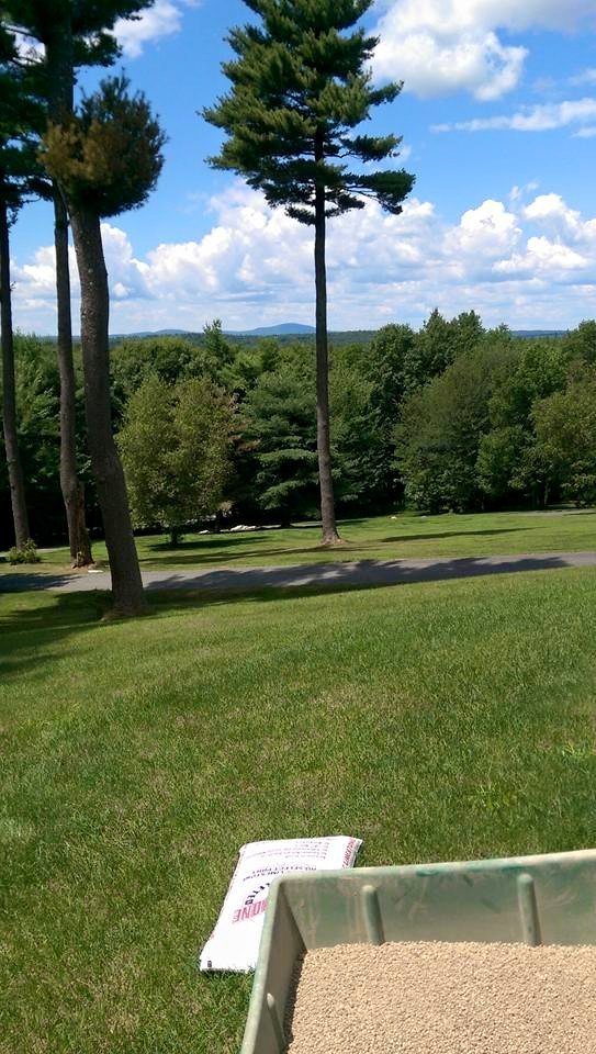 leboeuf lawn care worcester tall trees leboeuf lawn care worcester tall trees