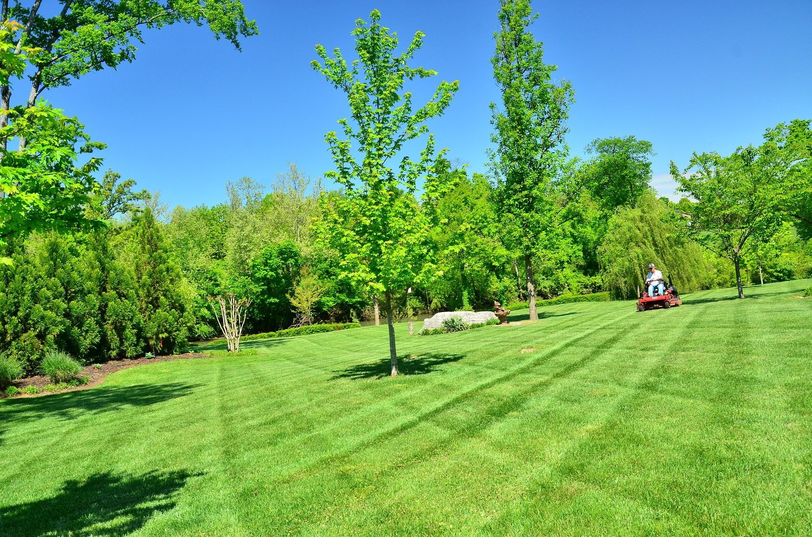 lawn care service worcester mowing green lawn